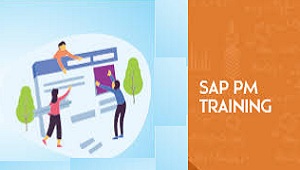 ERP SAP PM Traing Programming Services